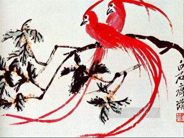 Qi Baishi aves del paraíso chino tradicional Pinturas al óleo